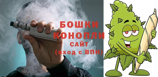 шишки Осташков