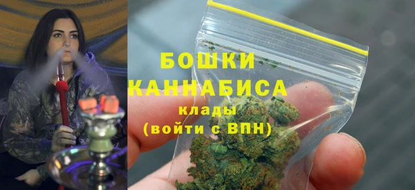 дживик Арсеньев