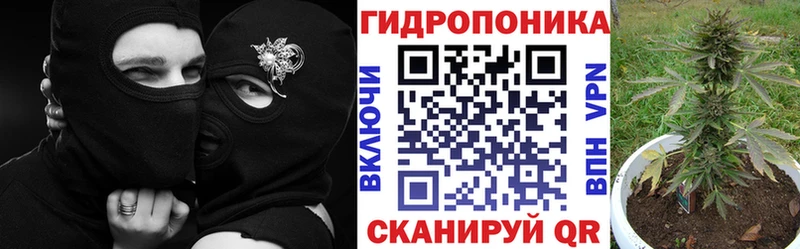 Бошки марихуана индика  mega маркетплейс  Себеж 